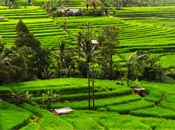 excursiones bali exelente tour