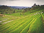 excursiones bali exelente tour